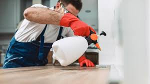 Best Residential Pest Control  in Concord, MI